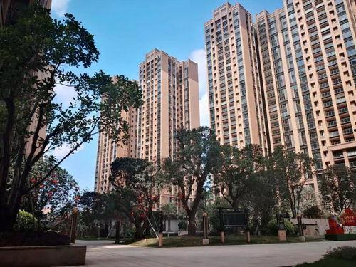 蔬菜蒲瓜今日行情分析,今日蔬菜市场分析解读