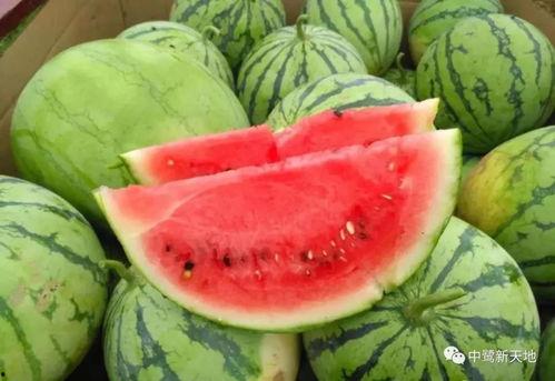 今日吃瓜51吃瓜柳州,今日吃瓜51带你领略柳州特色小吃