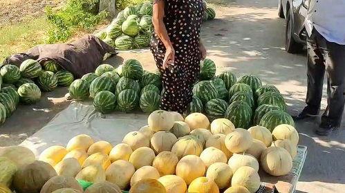 17吃瓜热门今日吃瓜,17吃瓜热门事件深度解析