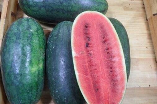 17吃瓜热门今日吃瓜,17吃瓜热门事件深度解析