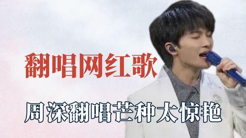 歌曲明星网红有哪些名字,揭秘当红明星、网红的璀璨名字世界