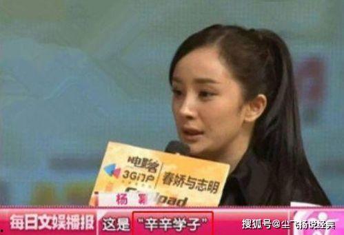 明星网红经济学家,跨界影响力与经济趋势洞察