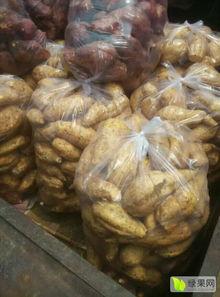 今日龙九地瓜价格,市场行情一览”