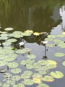 今日瓜州一水间,探寻丝绸之路上的历史印记与自然奇观