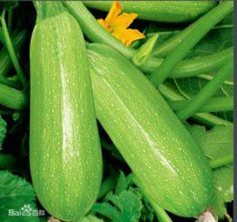 吃瓜网今日吃瓜热门大瓜莫里秀,吃瓜网今日热门大瓜揭秘