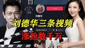 明星网红合唱抖音歌曲,明星网红同框合唱，音乐盛宴燃爆全网