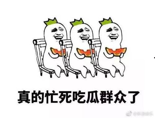 整理下今日的瓜,娱乐圈风云再起，揭秘明星幕后故事