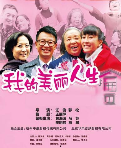 电视剧美丽人生,二战背景下的人性光辉与父爱传奇