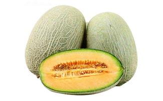 哈密瓜今日价格行情海南牛三,今日价格行情解析