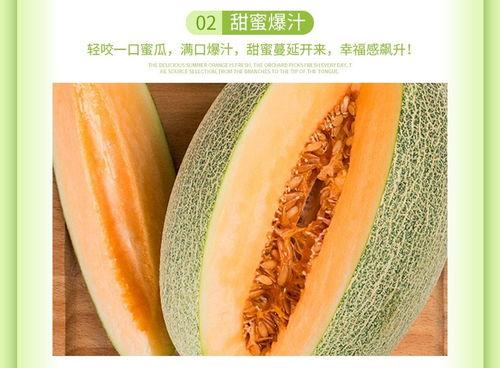 哈密瓜今日价格行情海南牛三,今日价格行情解析