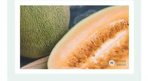 海南蜜瓜今日价格,甜蜜诱惑，品质之选