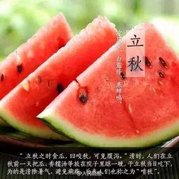 忽审今日立秋 买瓜,忽审瓜香满园