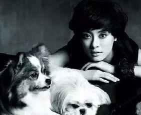 宠物明星网红有哪些名字,盘点那些萌动网络的昵称风采