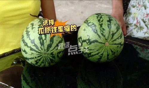 小圆瓜今日收购价,市场行情一览”