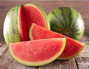 小圆瓜今日收购价,市场行情一览”