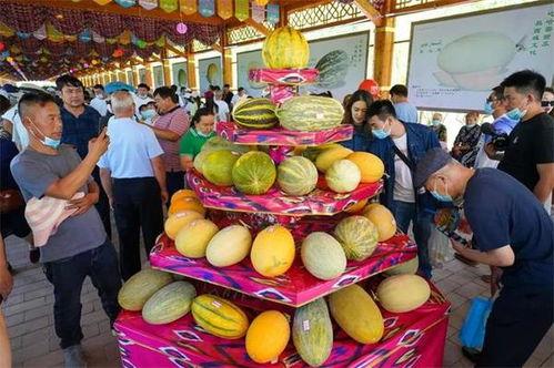 哈密瓜节今日新闻,丰收喜悦弥漫古城