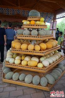 哈密瓜节今日新闻,丰收喜悦弥漫古城