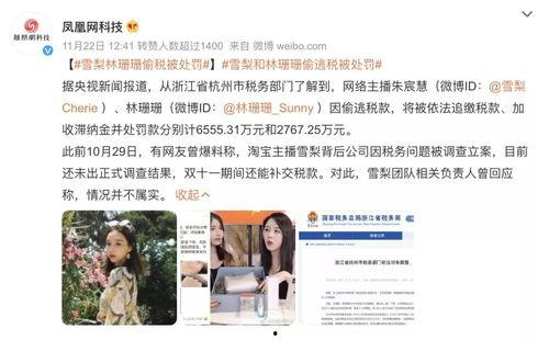 明星网红逃税反应了什么,揭示娱乐圈税务乱象与监管挑战