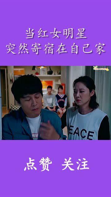 明星网红逃税反应了什么,揭示娱乐圈税务乱象与监管挑战