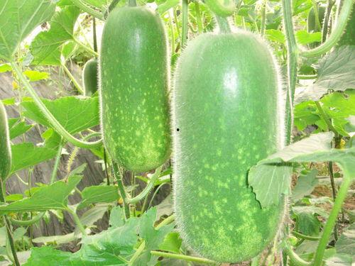 ccgg今日吃瓜c,揭秘娱乐圈最新热点事件