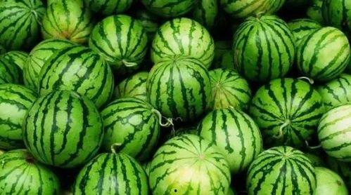 今日有什么大瓜,明星恋情曝光，幕后黑幕惊爆眼球