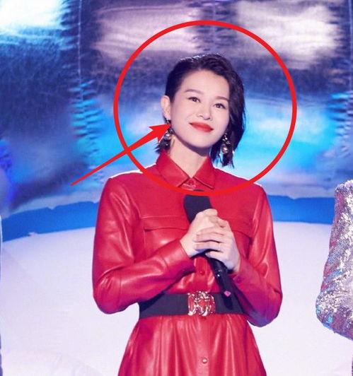 承德的明星网红是谁,揭秘承德网红界的璀璨之星