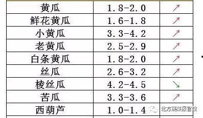 今日瓜菜价格走势,市场动态一览