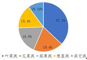 今日瓜菜价格走势,市场动态一览