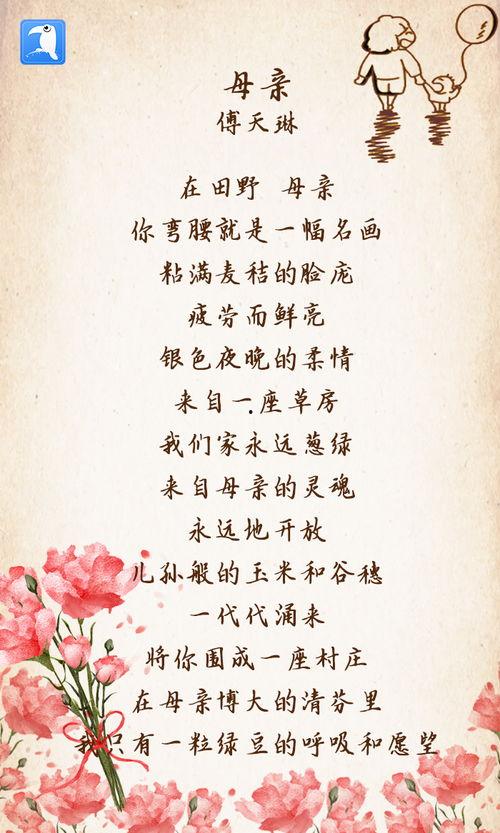 明星网红逃税看法怎么写,法律与道德的双重拷问