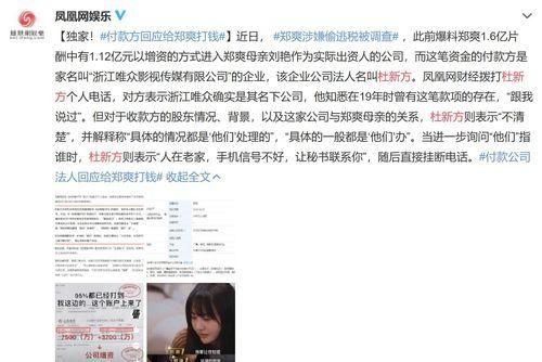 明星网红逃税看法怎么写,法律与道德的双重拷问