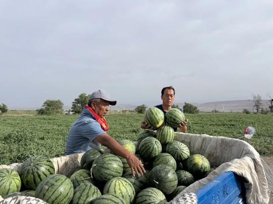 今日吃瓜每日吃瓜,揭秘娱乐圈最新热点事件