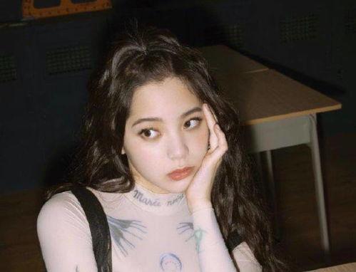 明星网红的对象有哪些,明星网红的多元化爱情对象揭秘