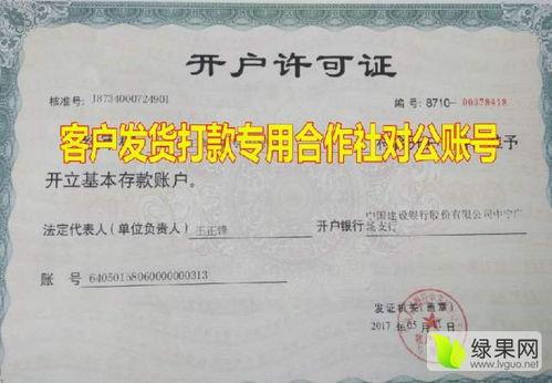 宁夏石头瓜产地今日价格,行情波动，品质依旧闪耀”