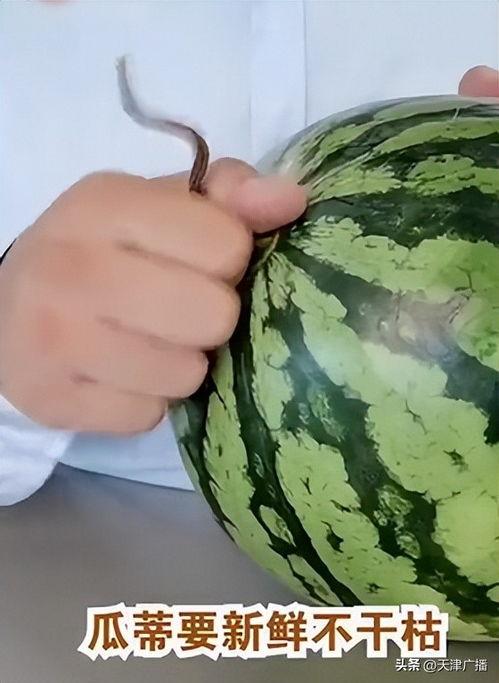 今日头条最甜的瓜