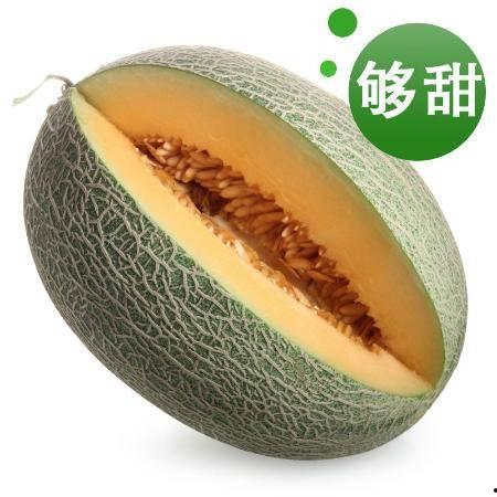 海南今日哈密瓜价格