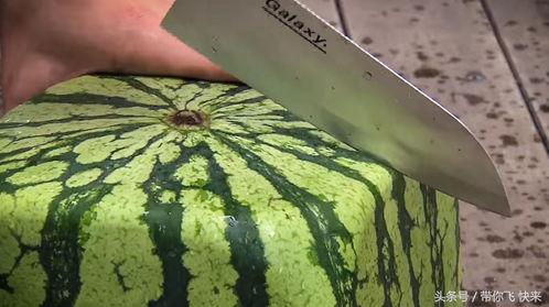 宿迂地区今日方瓜价格,涨跌互现，市场动态解析