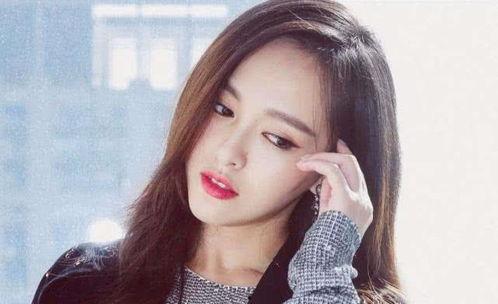 姓朱的明星网红有哪些,盘点姓朱的明星网红风采