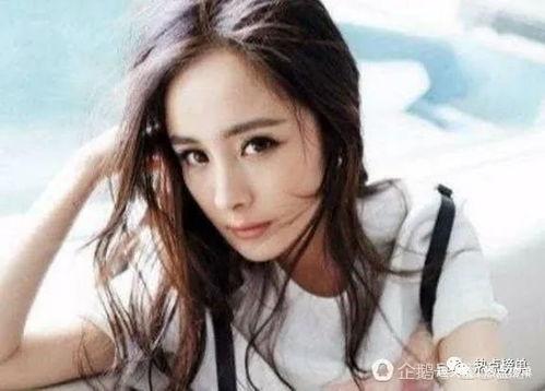 明星网红今日推荐榜排名,热门榜单揭晓，谁将引领潮流风向标？”