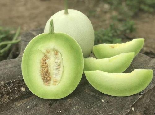 玉菇蜜瓜今日价格表图片,新鲜甜蜜，品质之选