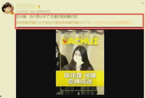 狗仔今日爆瓜视频下载,揭秘今日热门视频幕后真相