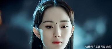 杨姓明星网红有哪些,闪耀娱乐圈的璀璨星河