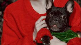 女明星网红搞笑视频合集