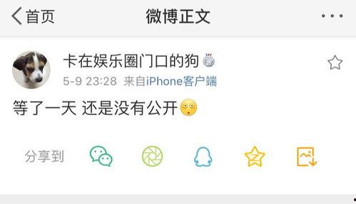 今日吃瓜爆料有哪些,娱乐圈最新热点大揭秘