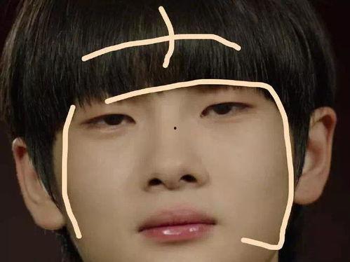 什么让明星网红叹气呢,揭秘背后的心酸与压力