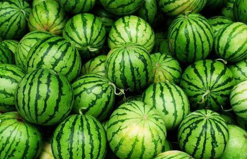 热门吃瓜今日必吃,热门吃瓜盘点，揭秘娱乐圈最新动态