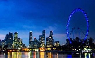 明星网红旅游城市