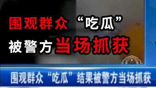 今日吃瓜爆料广州新闻,今日吃瓜爆料，揭秘城市热点事件