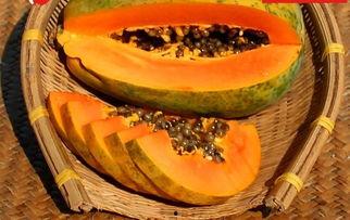 54吃瓜今日吃瓜入口