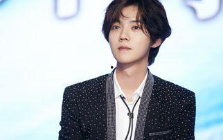 明星网红飞哥简介图片,网红界的璀璨明星，揭秘他的魅力人生