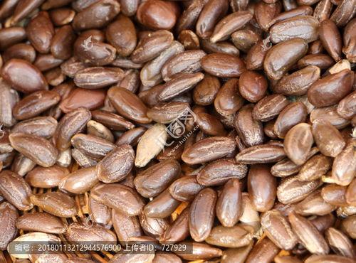 籽用葫芦瓜今日价格,市场行情一览